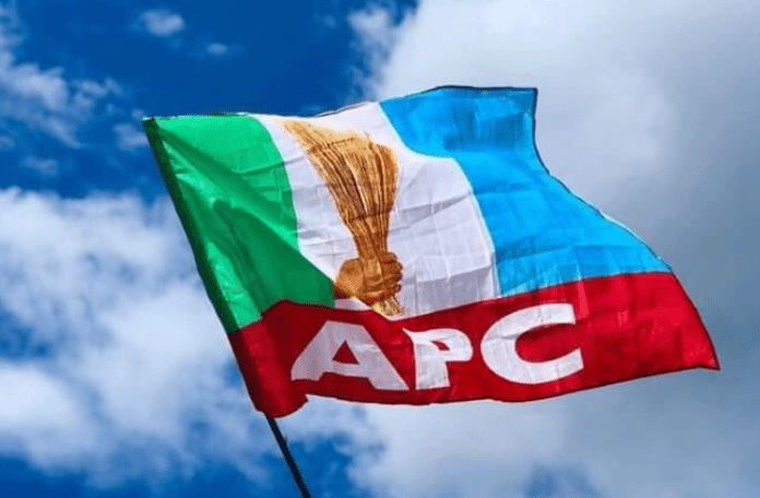 APC Flag