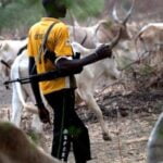 Suspected Herdsmen Kill Many In Ebonyi Community 