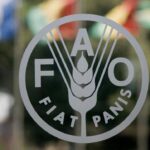 FAO logo