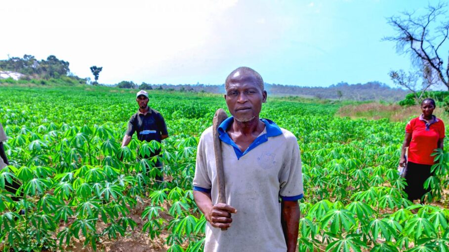 Farmers Lament Over CBN’s Anchor Borrowers Programme, Warn Of Food ...