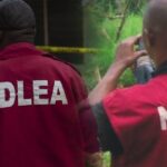 NDLEA Nabs Man Who Swallowed 81 Wraps Of Cocaine