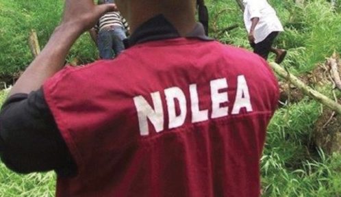 NDLEA Siezes N6bn Drugs Imported By Insurgents At Apapa