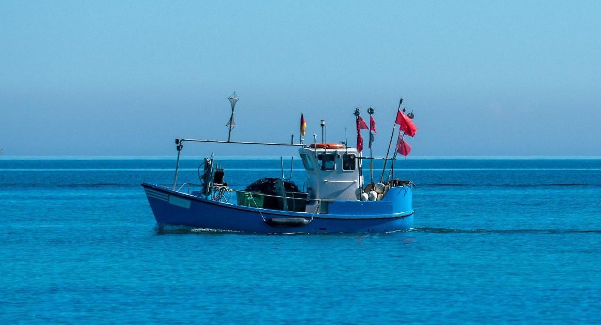 EU Talks To Agree Baltic Fishing Quotas Enter 2nd Day