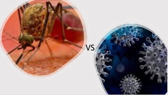 MALARIA VS COVID