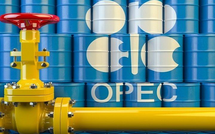 FG, OPEC+ To Renegotiate Crude Oil Output After Nigeria’s Failure To Meet Quota