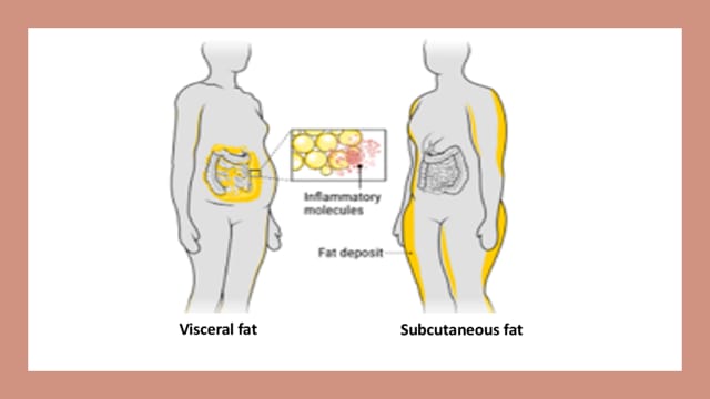 Healthily Obese and Happy