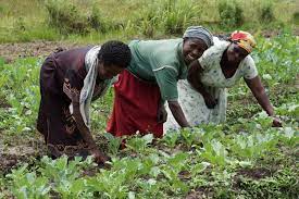 Women farmers