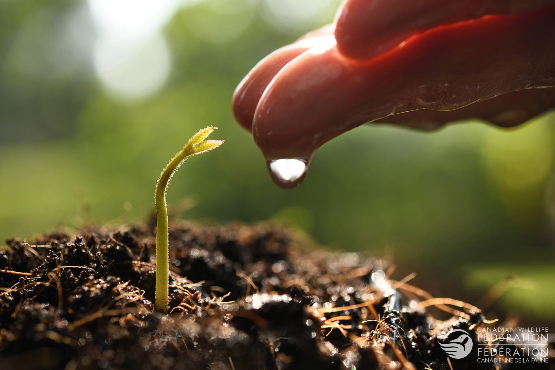 Soil Scientists Develop Mobile App For Food Production