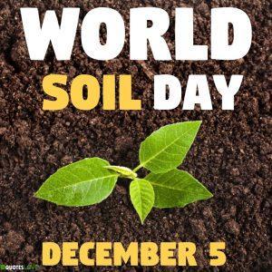 world soil day 2020