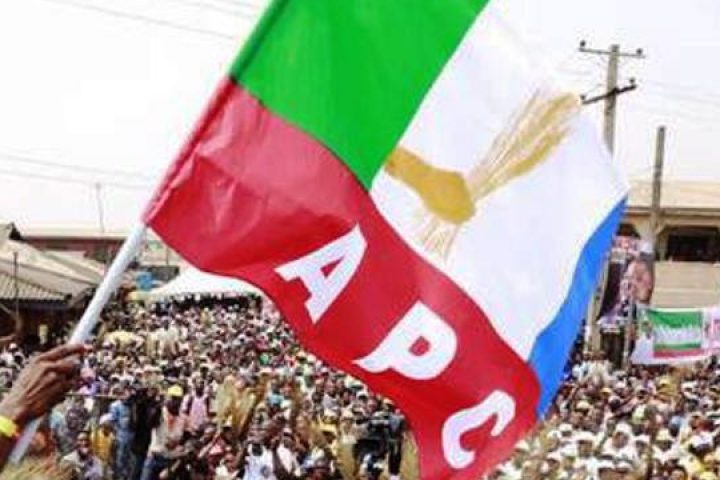 APC flag