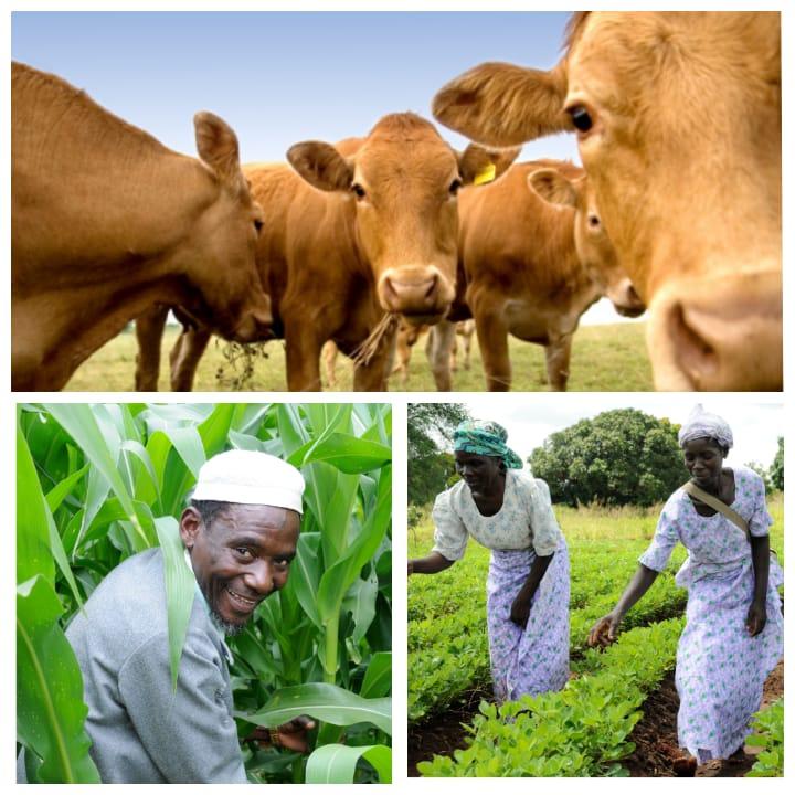 Agricultural farmers