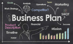 Business and financial plan