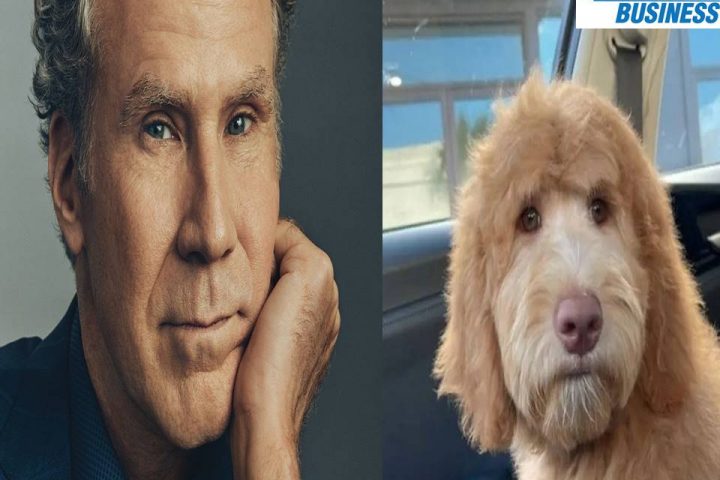 Man freaks out after discovering his dog looks like Will Ferrell