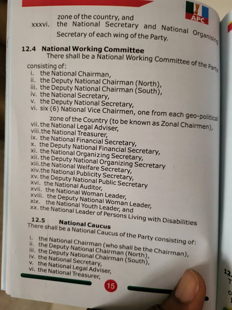 26 APC National Officers As NWC Members - Amended Constitution 