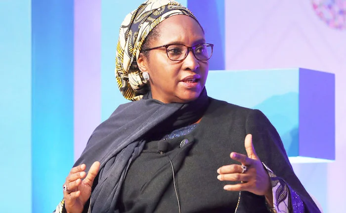 Finance Minister Likens Hardship Caused By Old Naira Deadline To Injury