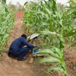 Adopt Smart Irrigation To Boost Food Production, FUTMinna Don Tasks Extension Workers, Others