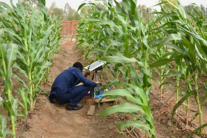 Adopt Smart Irrigation To Boost Food Production, FUTMinna Don Tasks Extension Workers, Others