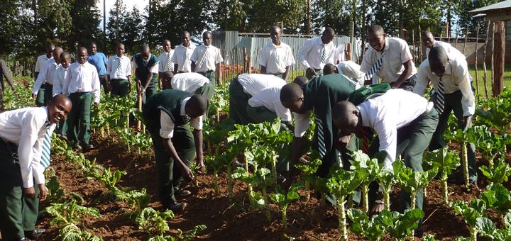 260 Enugu Young Farmers Undergo Training In Modern Agriculture