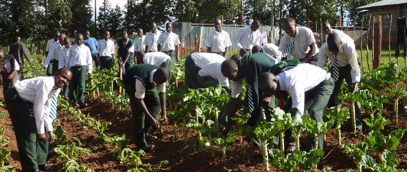 260 Enugu Young Farmers Undergo Training In Modern Agriculture