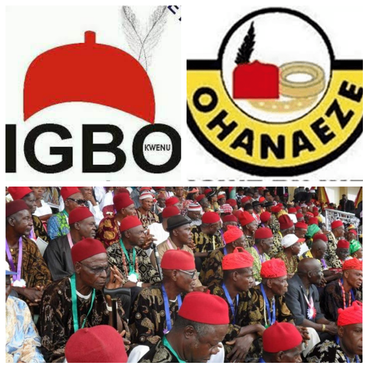 2023 Igbo Traditional Rulers Bishops Urge Delegates To Elect South