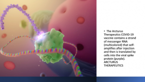  A New Self-amplifying mRNA COVID-19 Vaccine Discovered, But Death Estimates from COVID-19 Treble To 15 Million