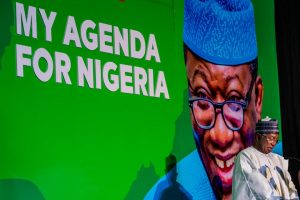 FAYEMI: My Agenda For Nigeria's 'Unfinished Business' - Full Speech