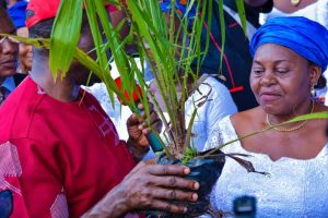 Agro-economy: Anambra Govt To Partner Palm, Coconut Farmers, Says Soludo