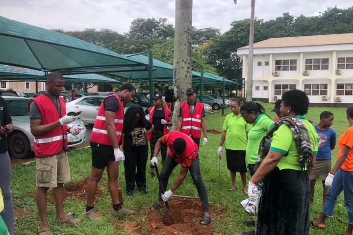 UNN Rotaractors, Others Plant 100 Trees In Campus