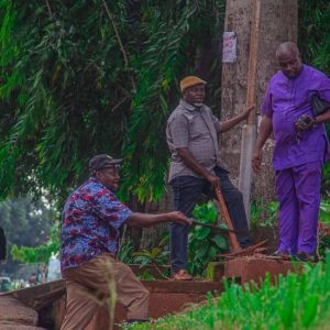 UNN Rotaractors, Others Plant 100 Trees On Campus