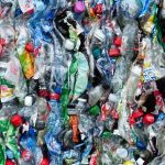 Scientists Discover Worms With Abnormal Appetite For Plastic Waste