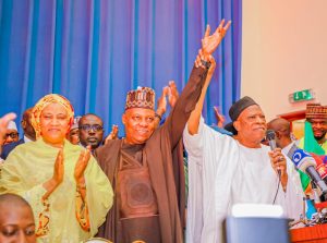 2023: We're For Nigerian Project, Not Sectional Agenda - Shettima
