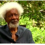 What Soyinka Means To Me