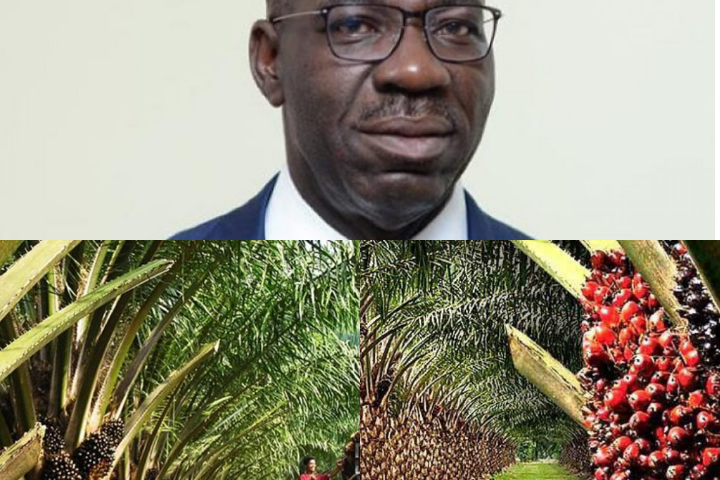 ‘We’ve Built Structures To Sustain Gains Of $500m Investment In Edo Oil Palm Sector’ – Obaseki