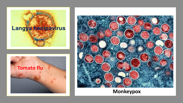 Monkeypox Promoted To Superstardom