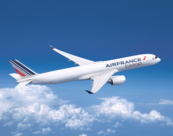 Two Air France Pilots Fight, Exchange Blows Mid Air