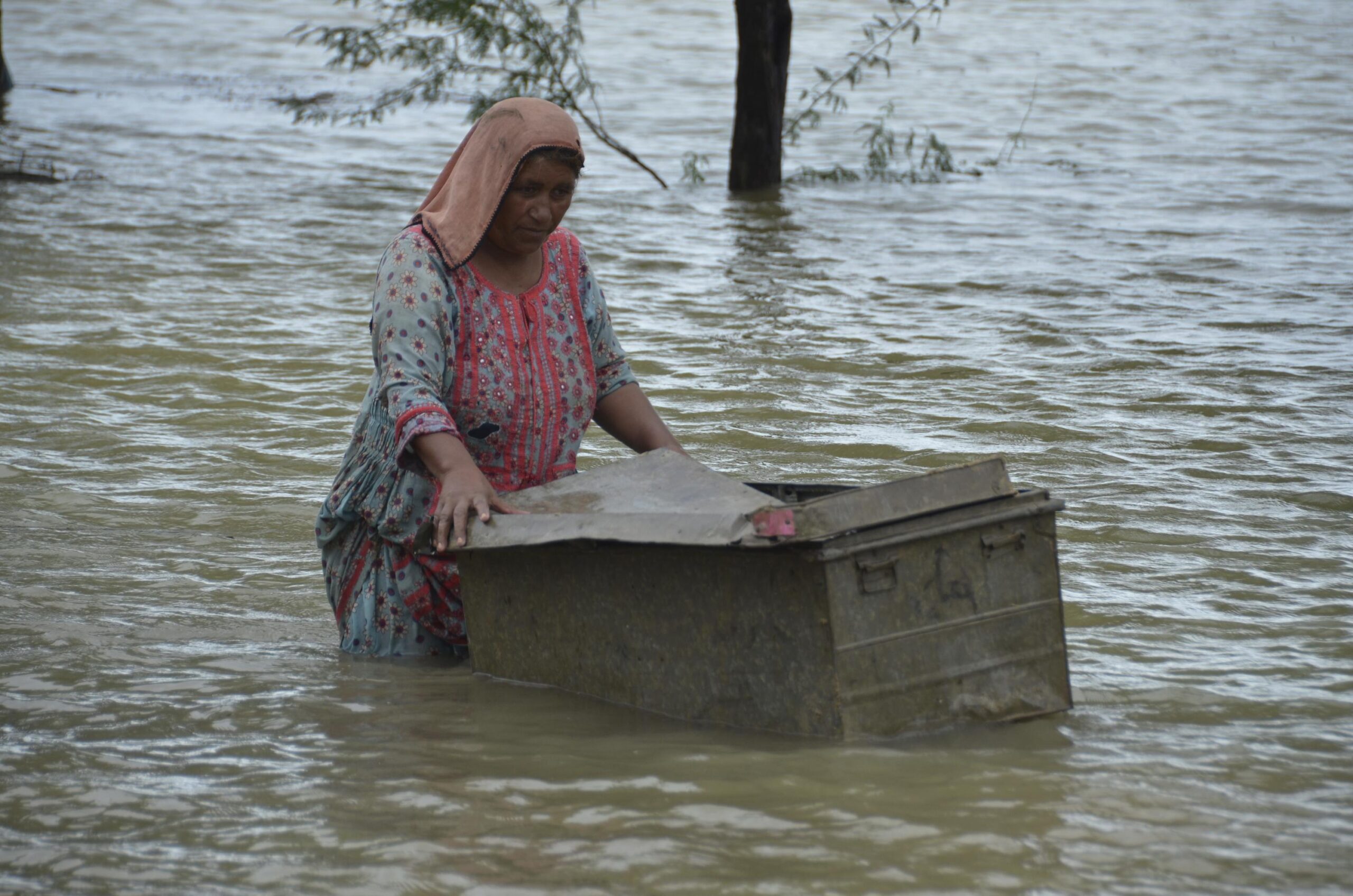 President Buhari Calls Global Attention To Parkistan Floods