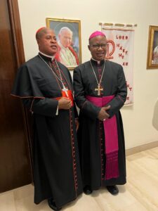 Photos: Powerful Nigerian Bishops In Rome For Cardinal Okpaleke - Cardinals Francis Arinze, Onaiyekan and Bishops Valerian Okeke, Okolo, Uzoukwu, Isizoh, Umoren