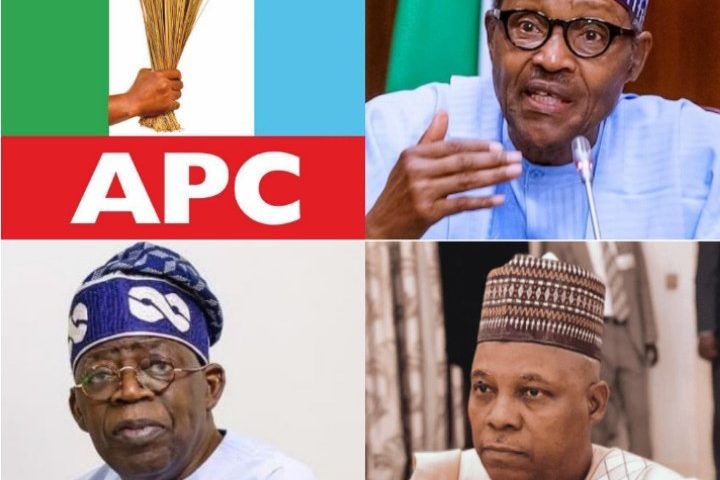 2023: Buhari Chairs APC Presidential Campaign Council, As Party Finalises Structure - Exclusive