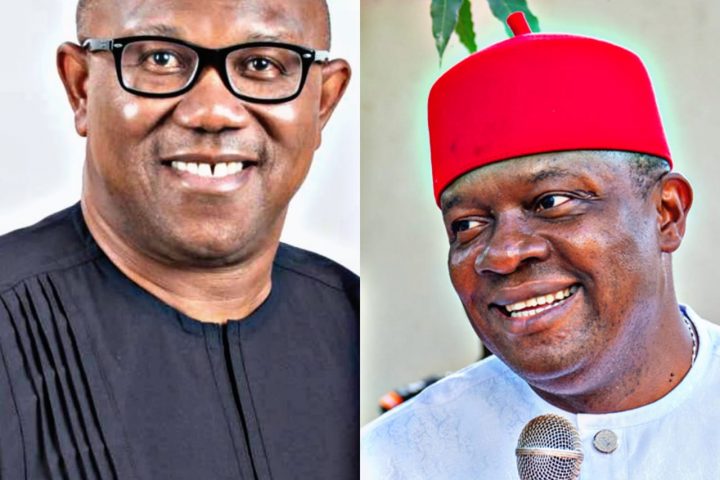 2023: Ozigbo Dumps PDP, Declares Support For Peter Obi