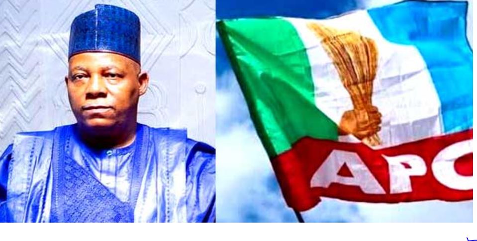 Tinubu Govt Will Replicate Borno ‘Wonders’ In Nigeria – Shettima Hints