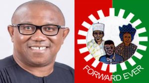 Big Tent For Peter Obi Hosts Listening Clinic On Healthcare