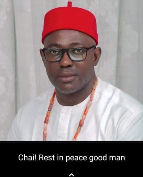 Chief Onyeka Nnolim (Onowu Agukwu Nri) died in the convoy attack