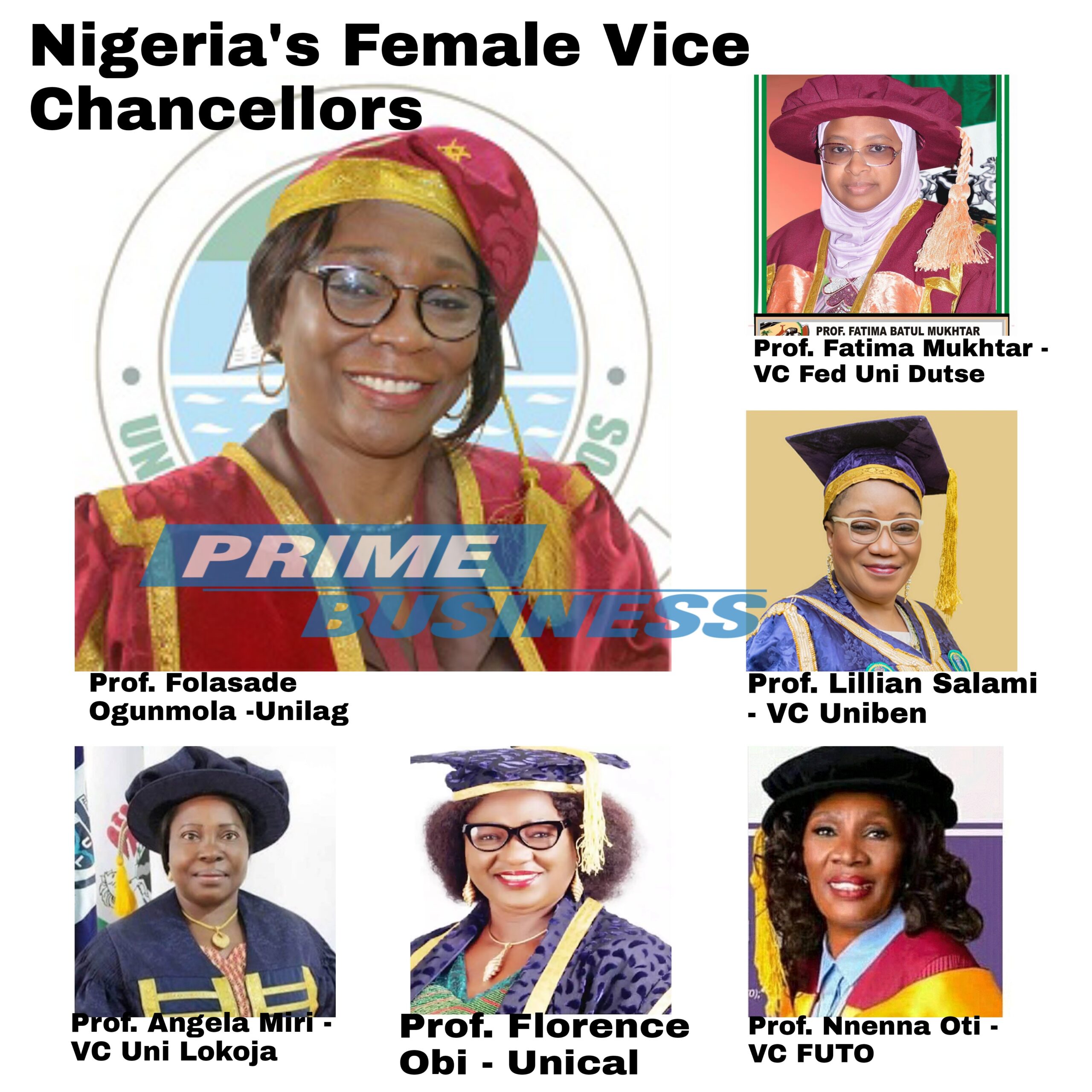 Nigeria's 7 Female Vice Chancellors In 6 Years