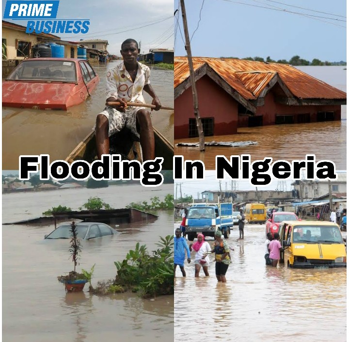 Nigeria's 2022 Flooding Worst In Years As Death Toll Hits 600, Millions Displaced