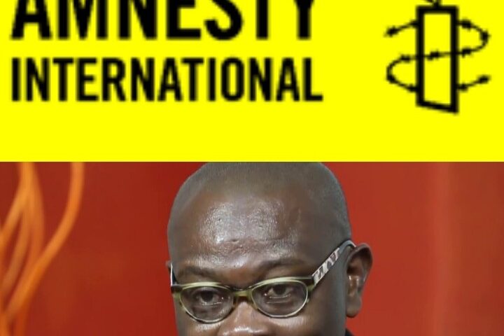 Amnesty International Seeks Freedom, Safety Of Human Rights Defenders In Nigeria
