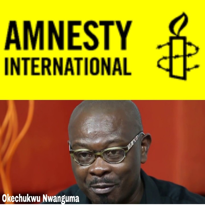 Amnesty International Seeks Freedom, Safety Of Human Rights Defenders In Nigeria