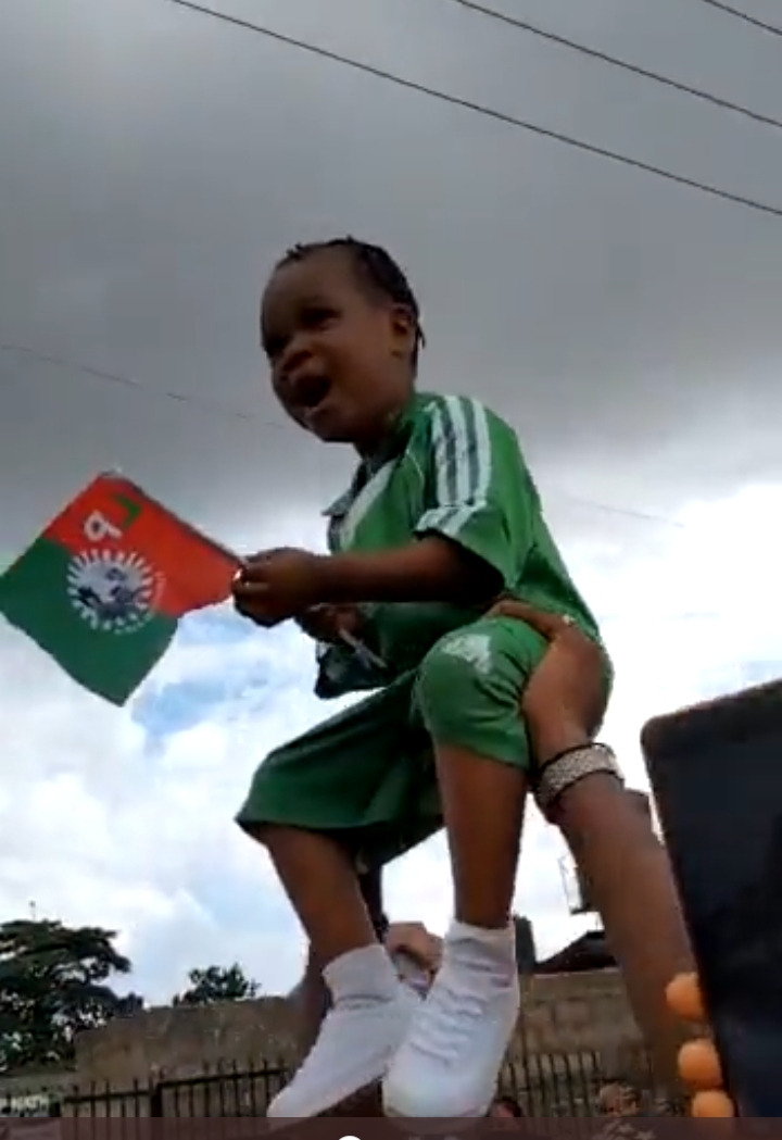 Man Offers Viral Little Girl In Peter Obi Rally Academic Scholarship To University Level