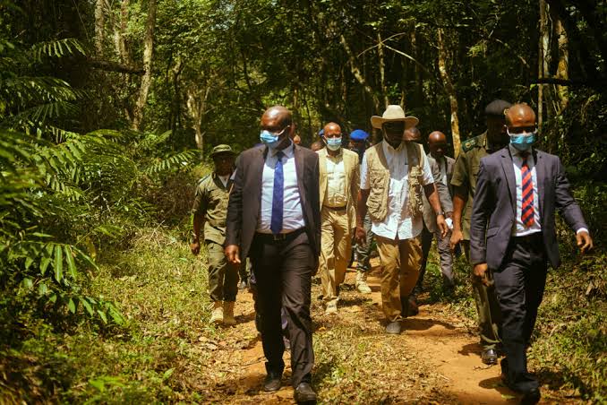 Edo Concessions Okomu South, Gele-gele Forest Reserves For 30 Years To ANI Foundation