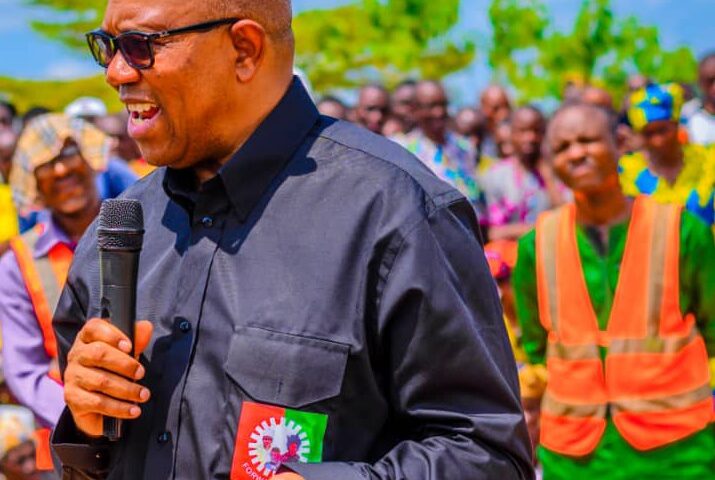 Why We Endorsed Peter Obi's Candidacy - Ohanaeze