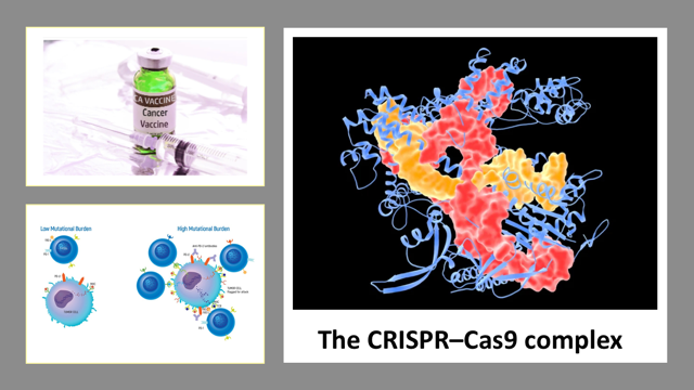 CANCER: Biomarker Discrimination, Breast Cancer Vaccine And CRISPR Cancer Therapy